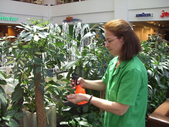 echipa-greenatwork-3