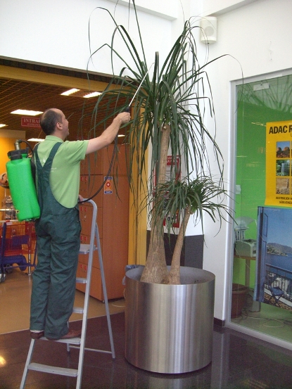 echipa-greenatwork-4