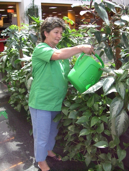 echipa-greenatwork-5